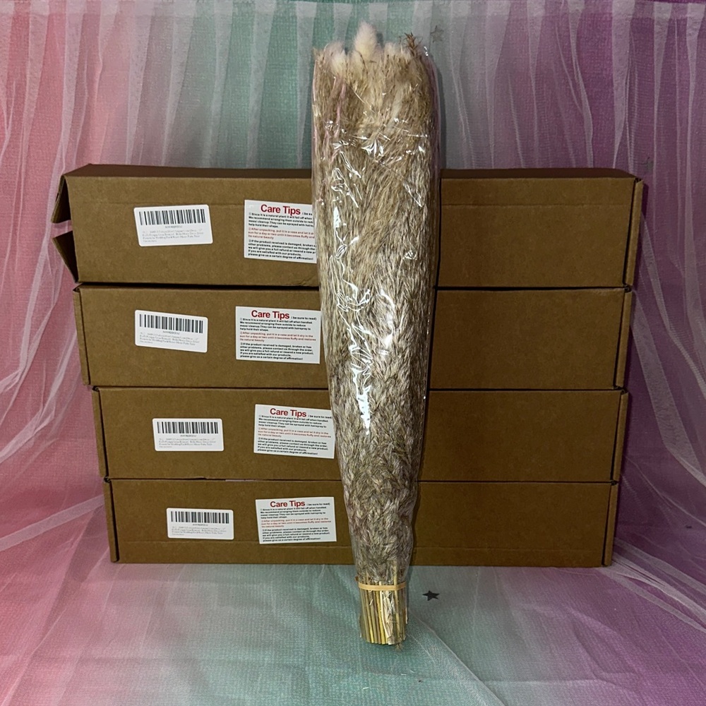 Decorative Natural Pampas Grass Bundle - Neutral Beige